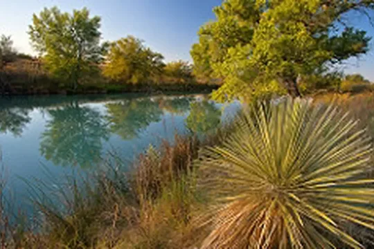 Park image