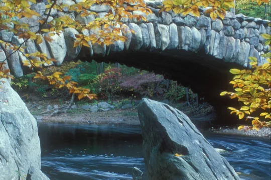Park image
