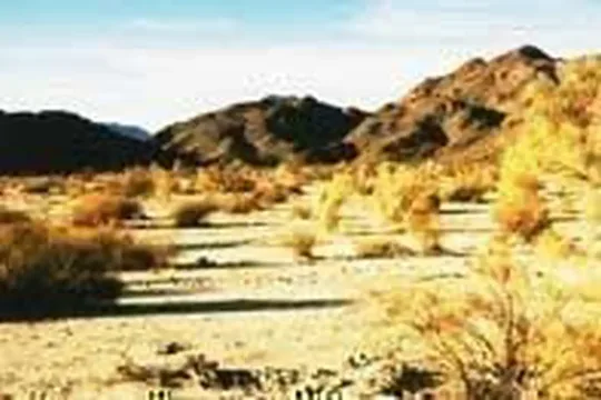 Park image