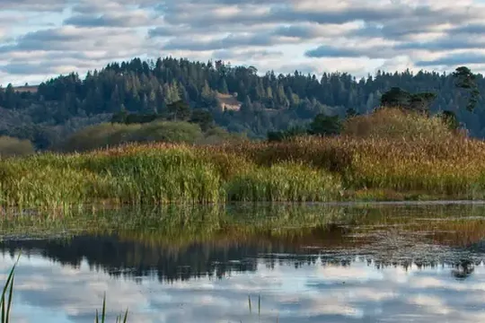 Park image