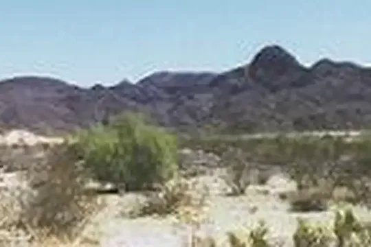 Park image
