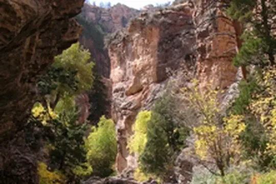 Park image