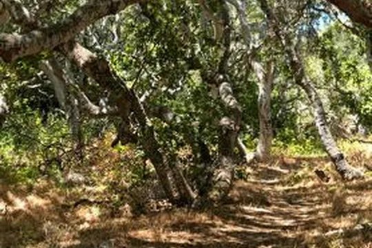 Park image