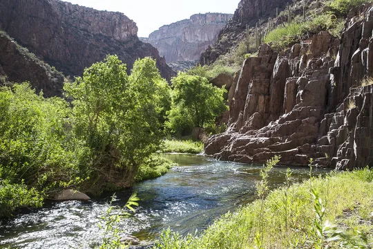 Park image