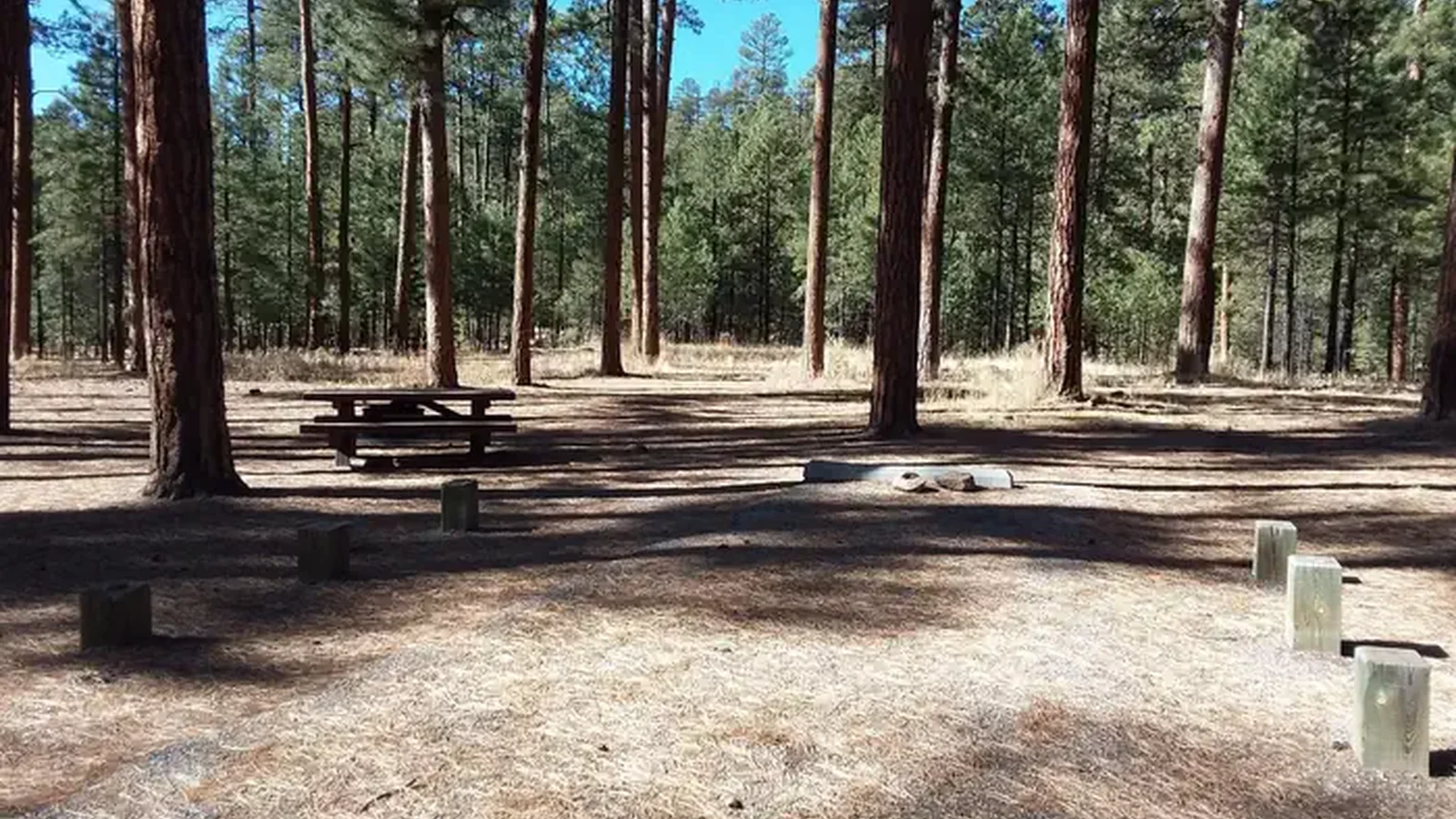 Jemez Falls Campground Campsite 19