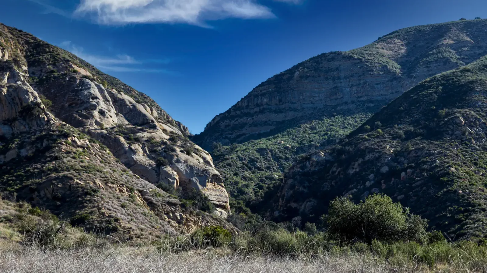 Upper Oso road Into campground
