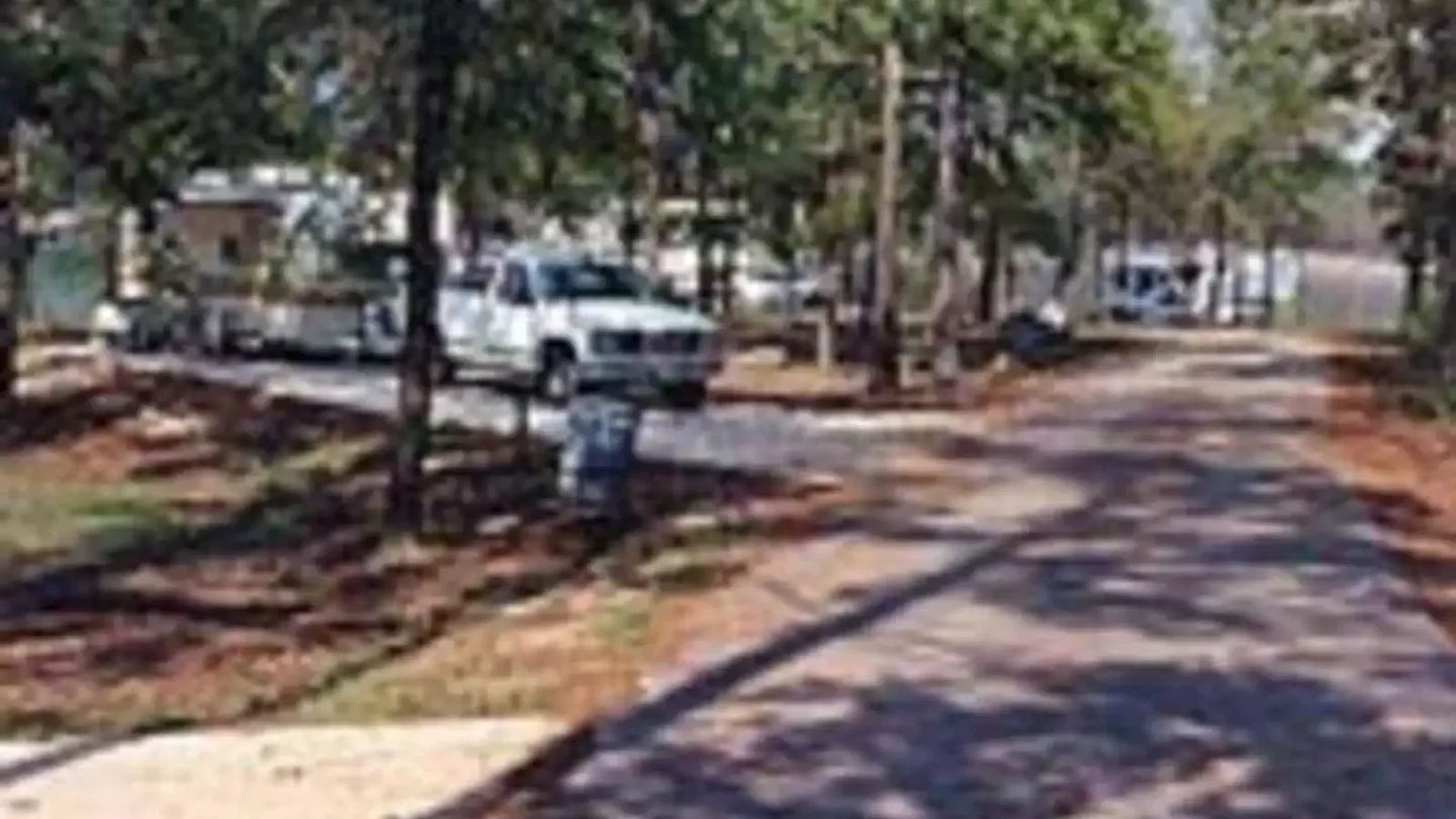 PINE CREEK COVE