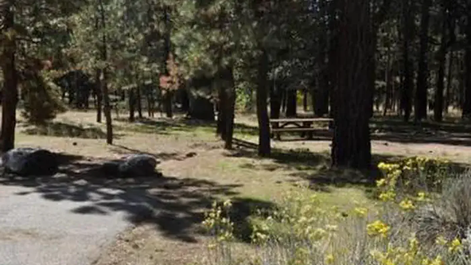 Shade & Picnic Tables of the San Gorgonio Campground
