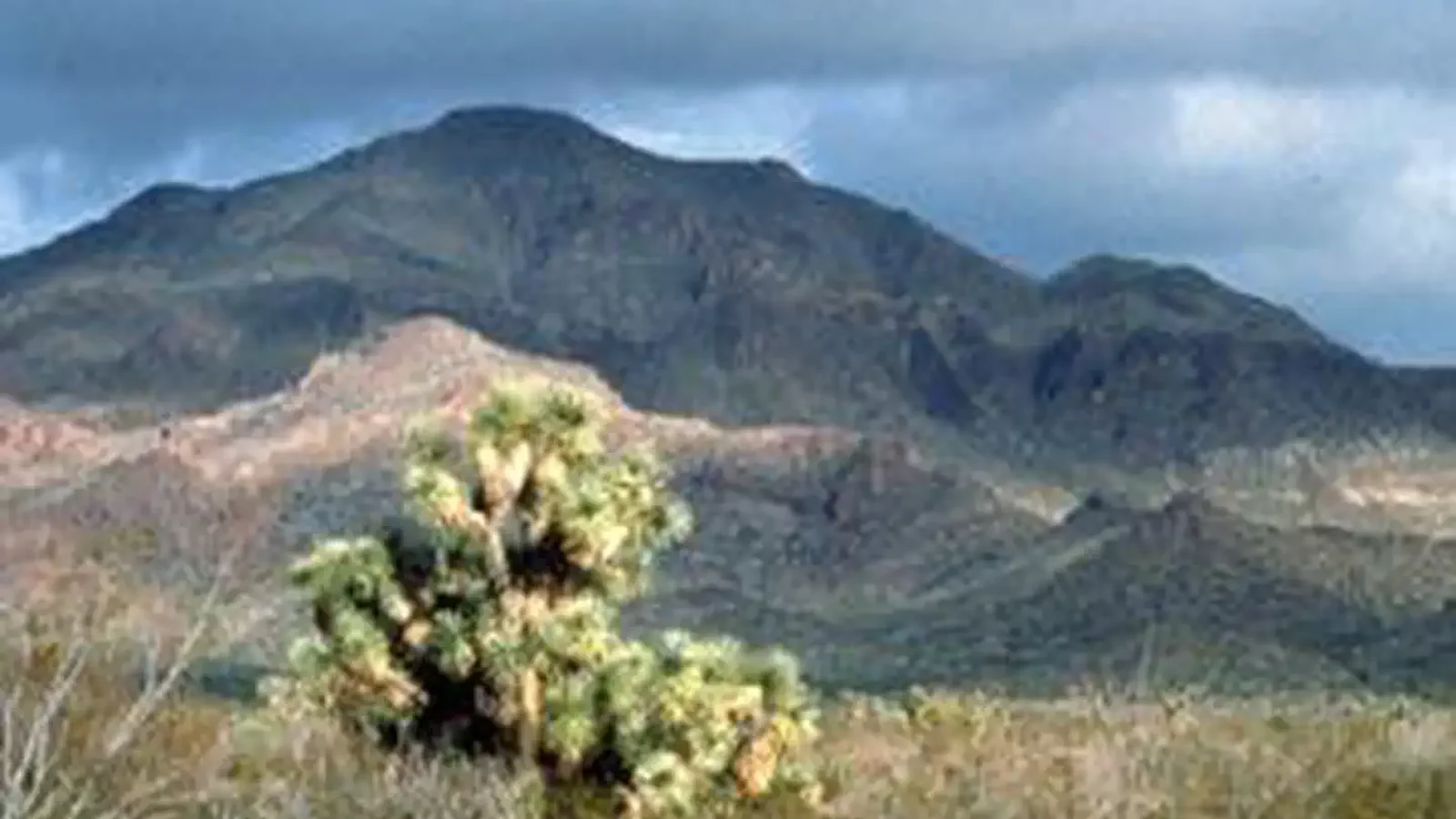 Tres Alamos Wilderness