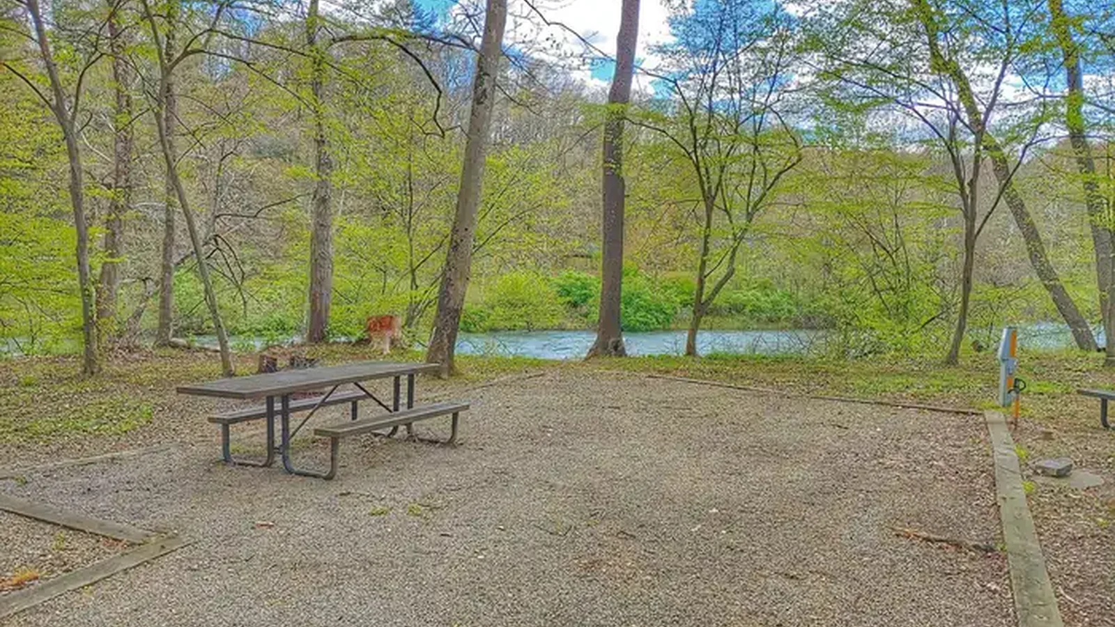 Riverside Campsite