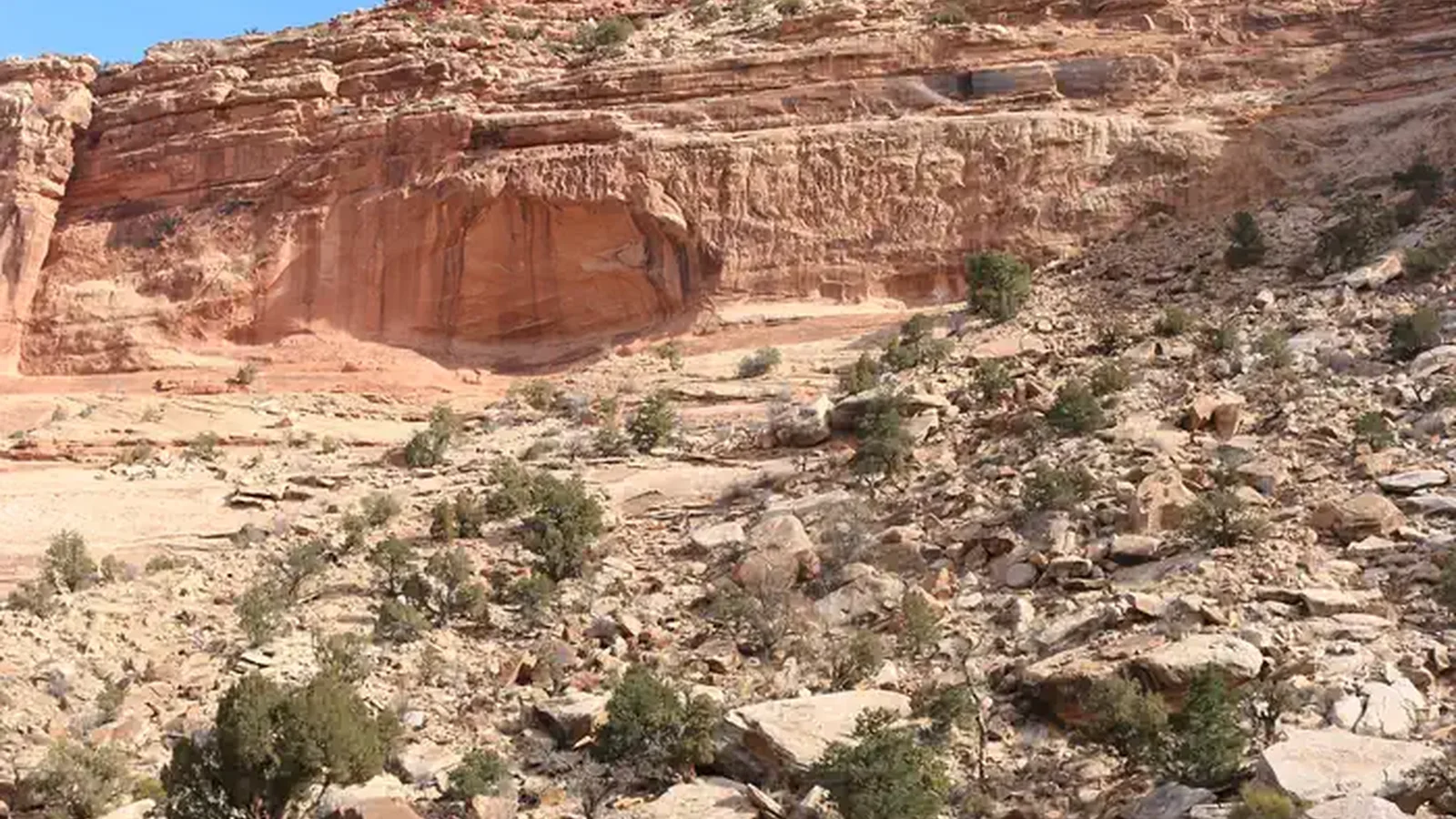 Two campsites are tucked into an alcove surrounded by tan cliffs and slope of rockfall