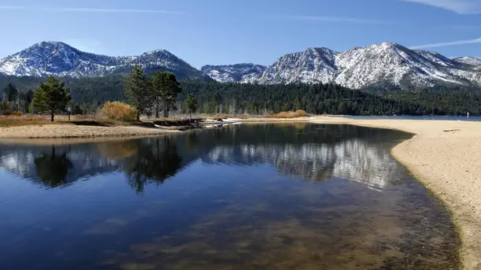 Humboldt Toiyabe National Forest