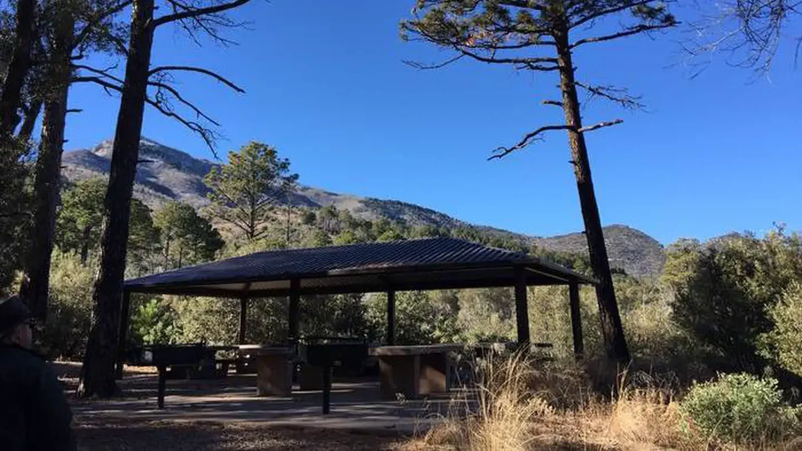 Group site view
