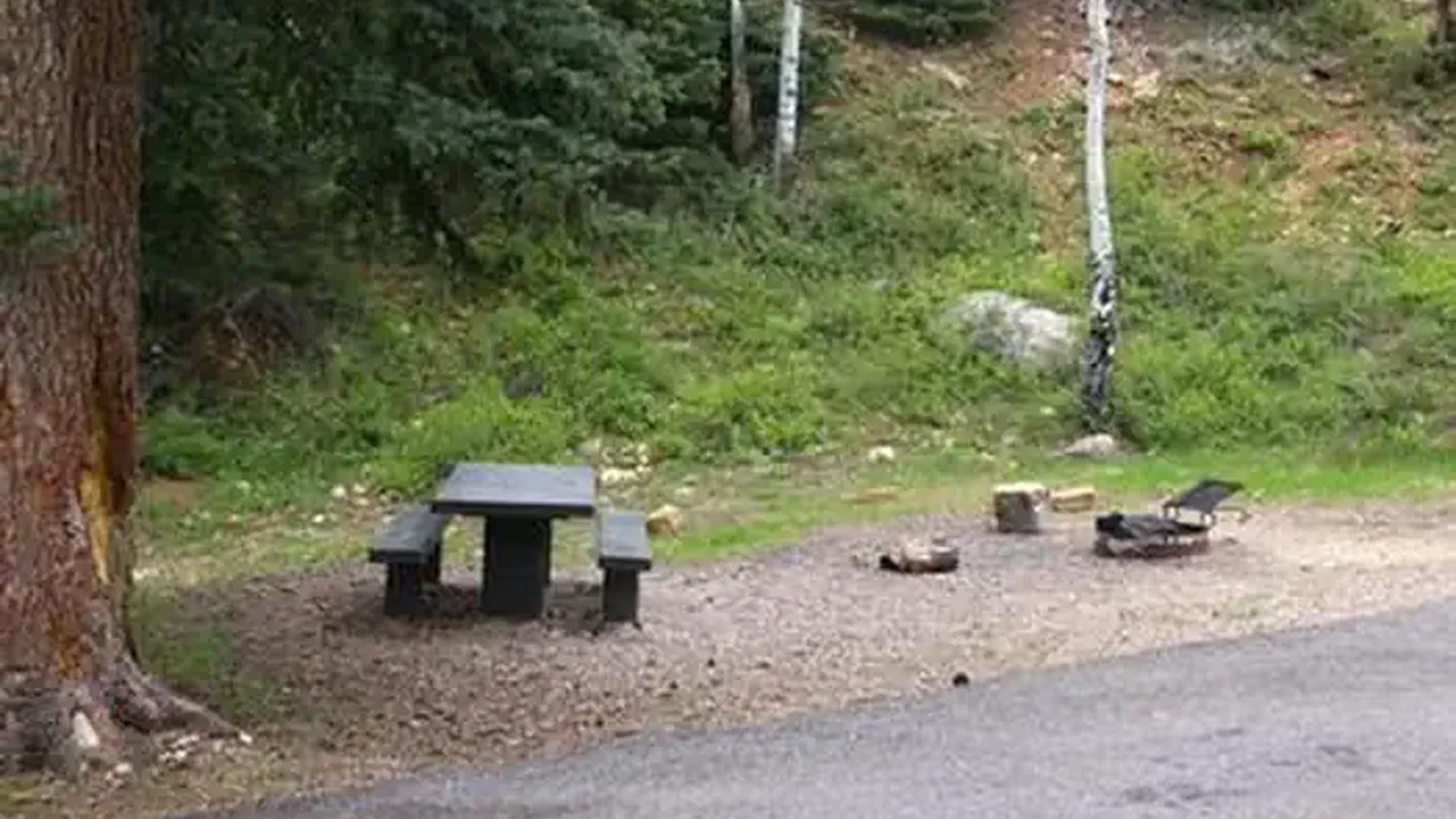 Campsite with Bench and Fire ring
