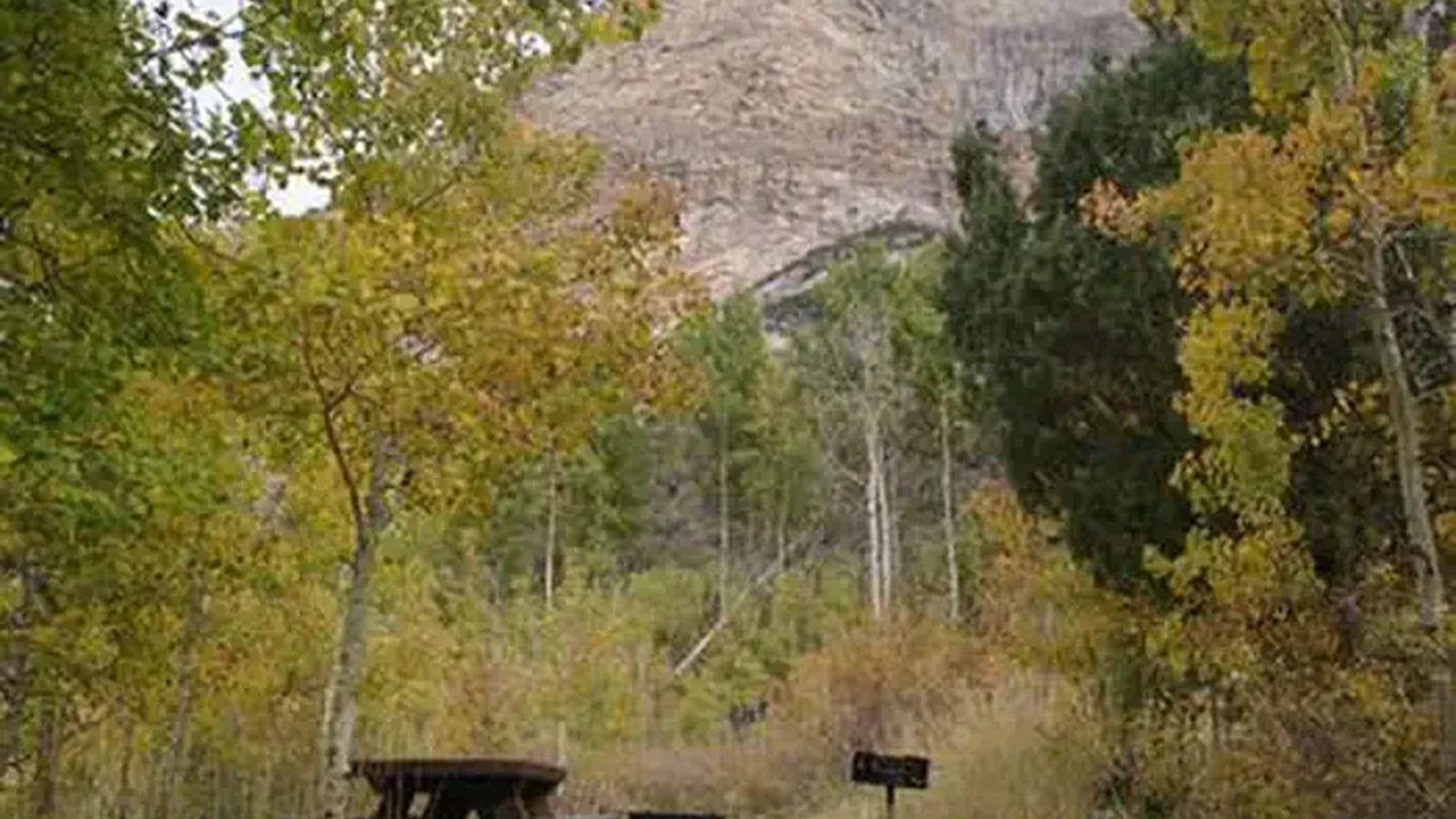 THOMAS CANYON