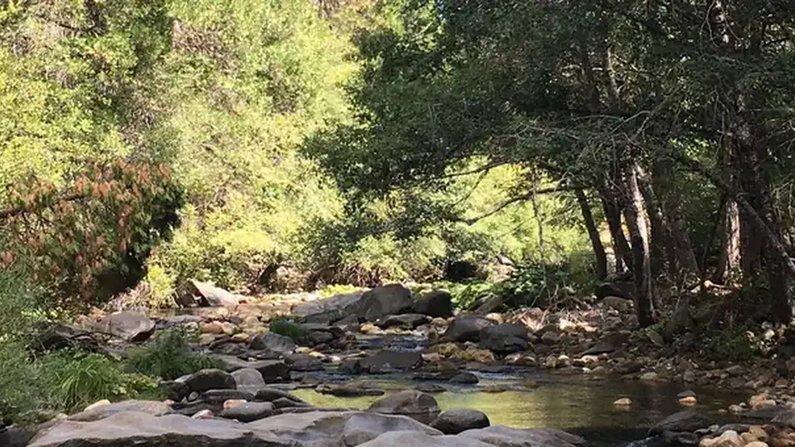 River Access