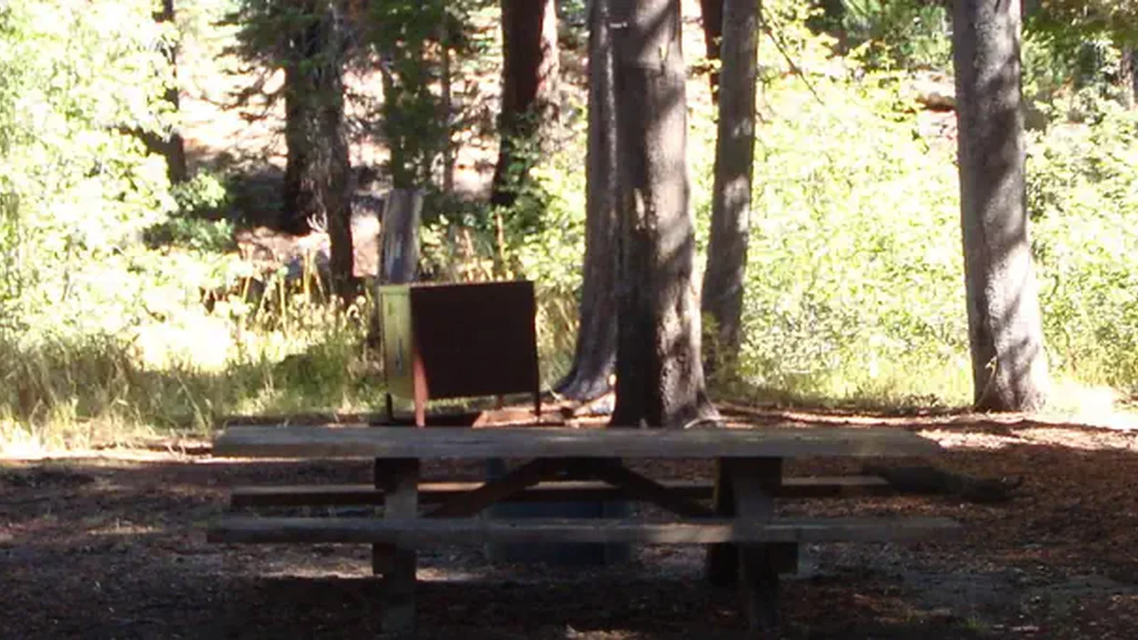 Agnew Horse Camp