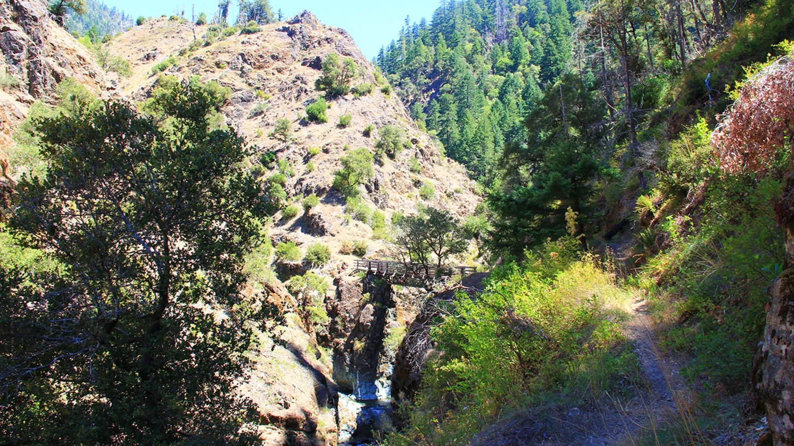 Footbridge over Mule Creek