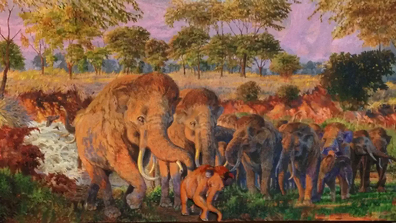 Mammoth Herd Mural