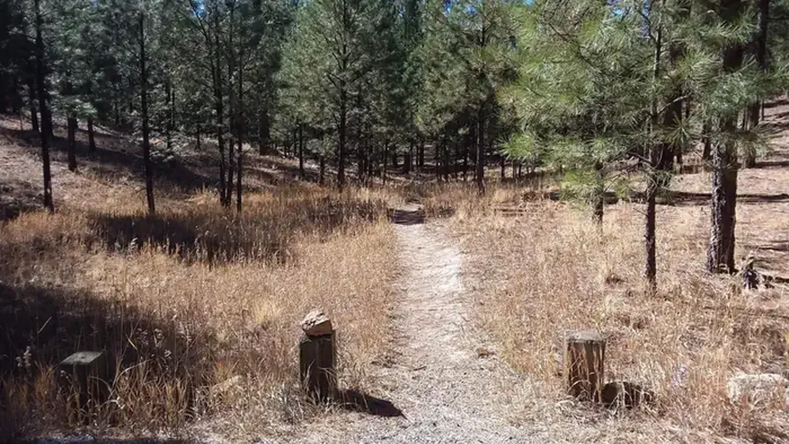 Jemez Falls Campground Trail Head