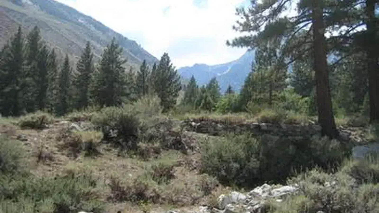 UPPER SAGE FLAT