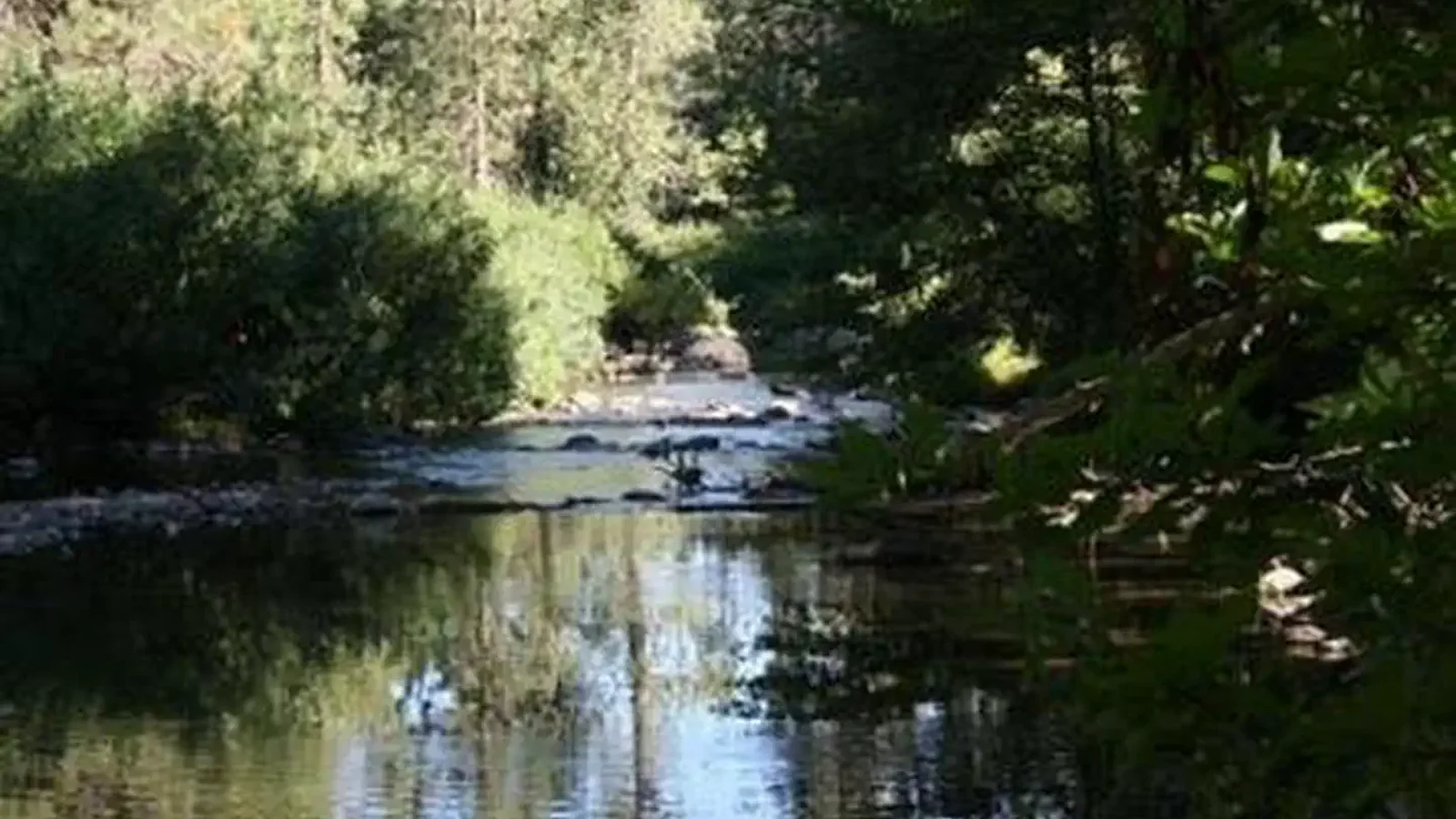 SUMMERDALE CAMPGROUND