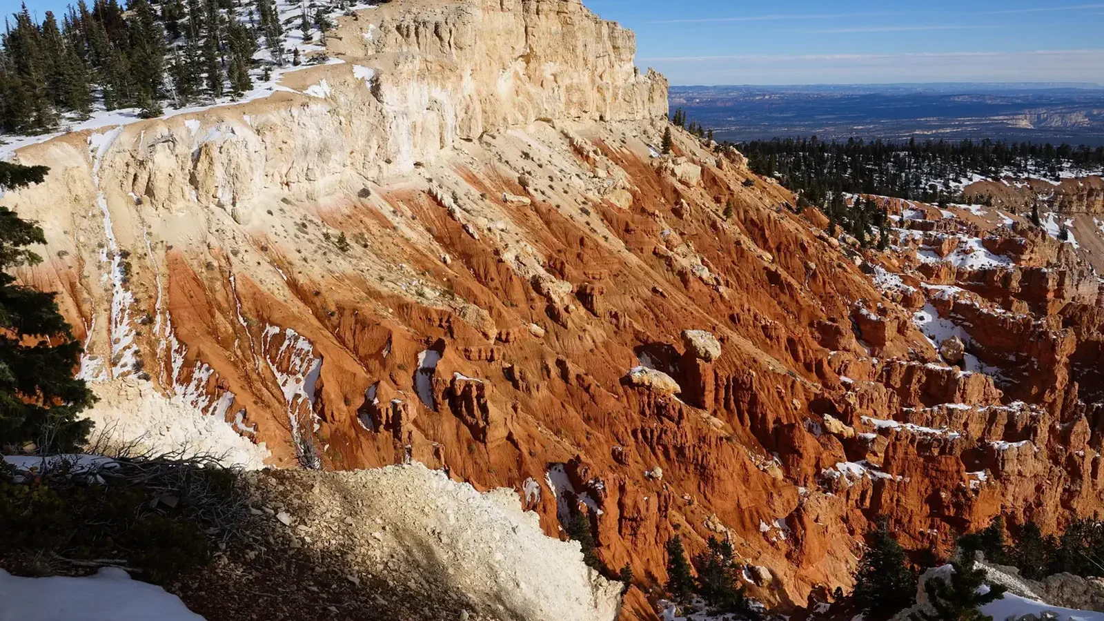 Bristlecone Loop trail near Yovimpa Point