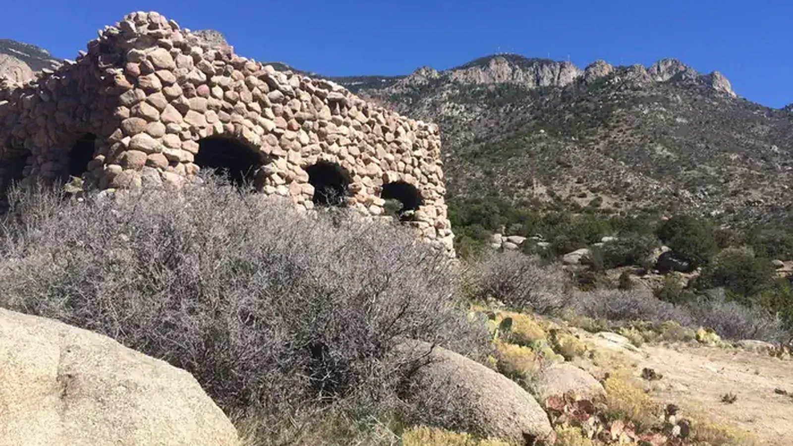 Cibola National Forest and Grasslands