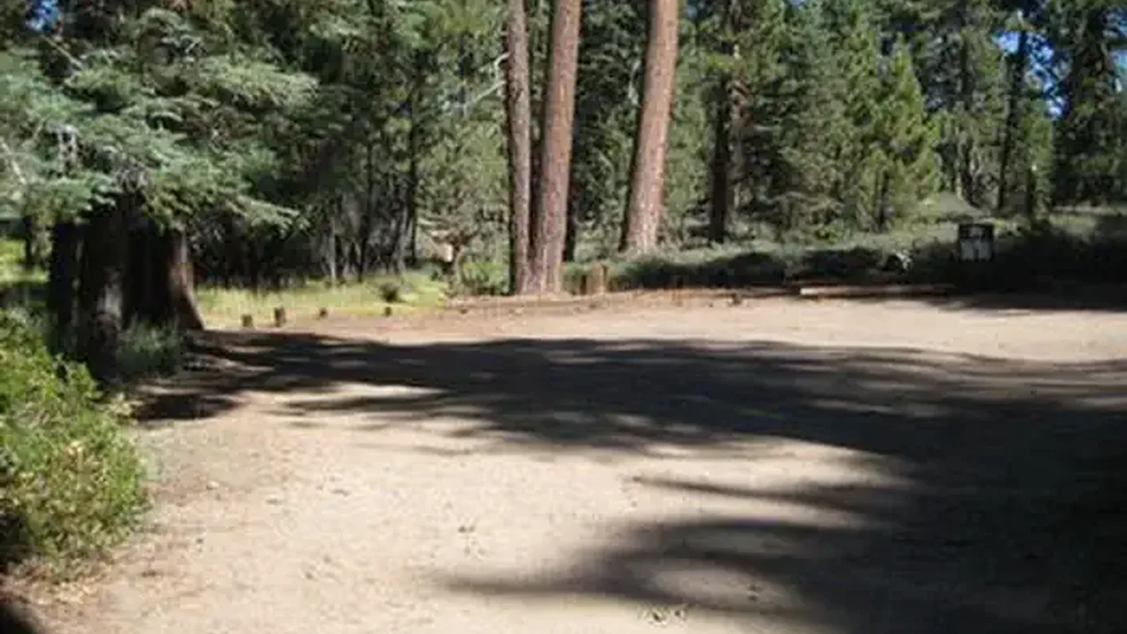 Naturally Shaded Area at Deer Group Camp