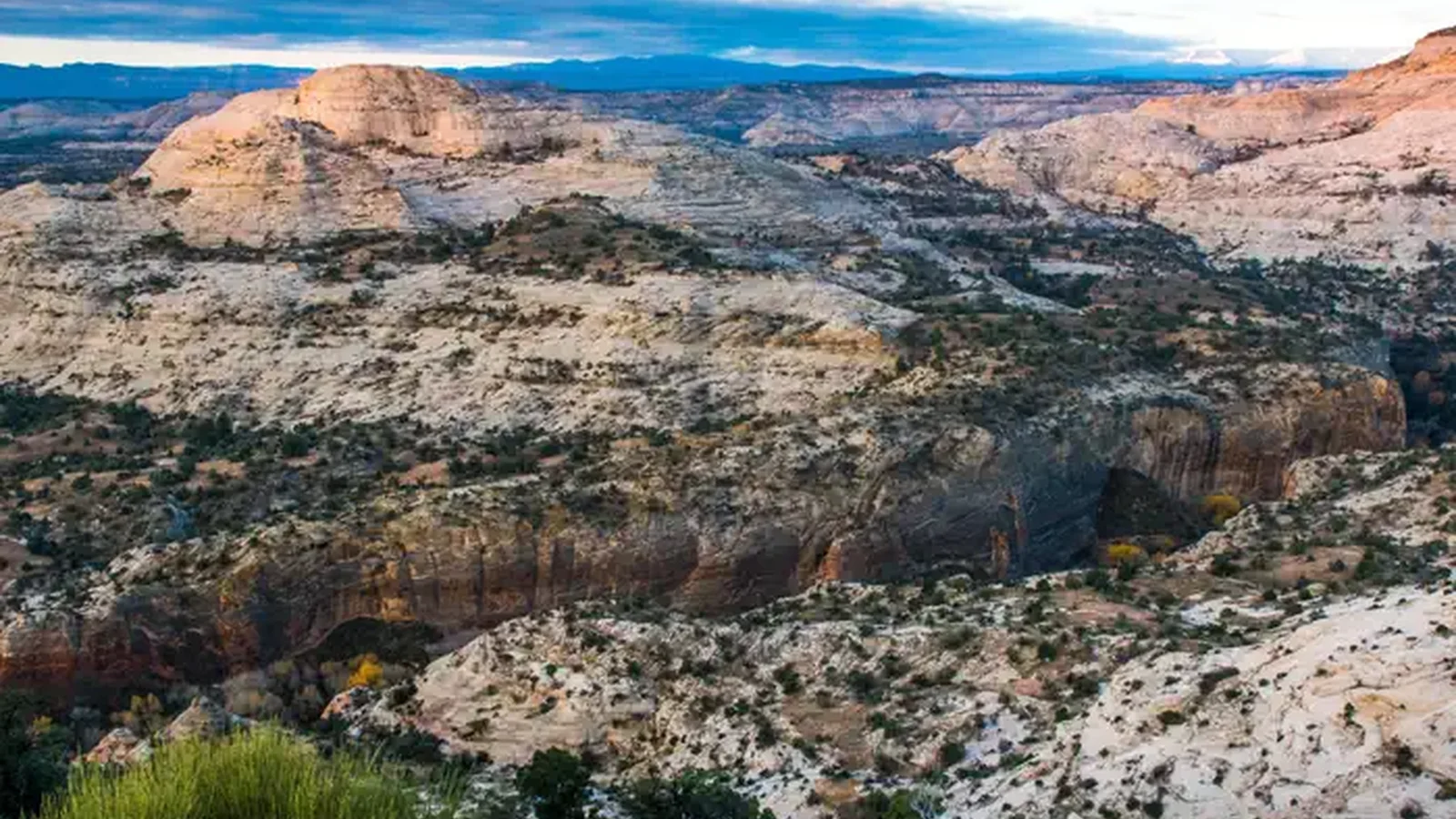 Canyons Of Escalante/Burr Trail