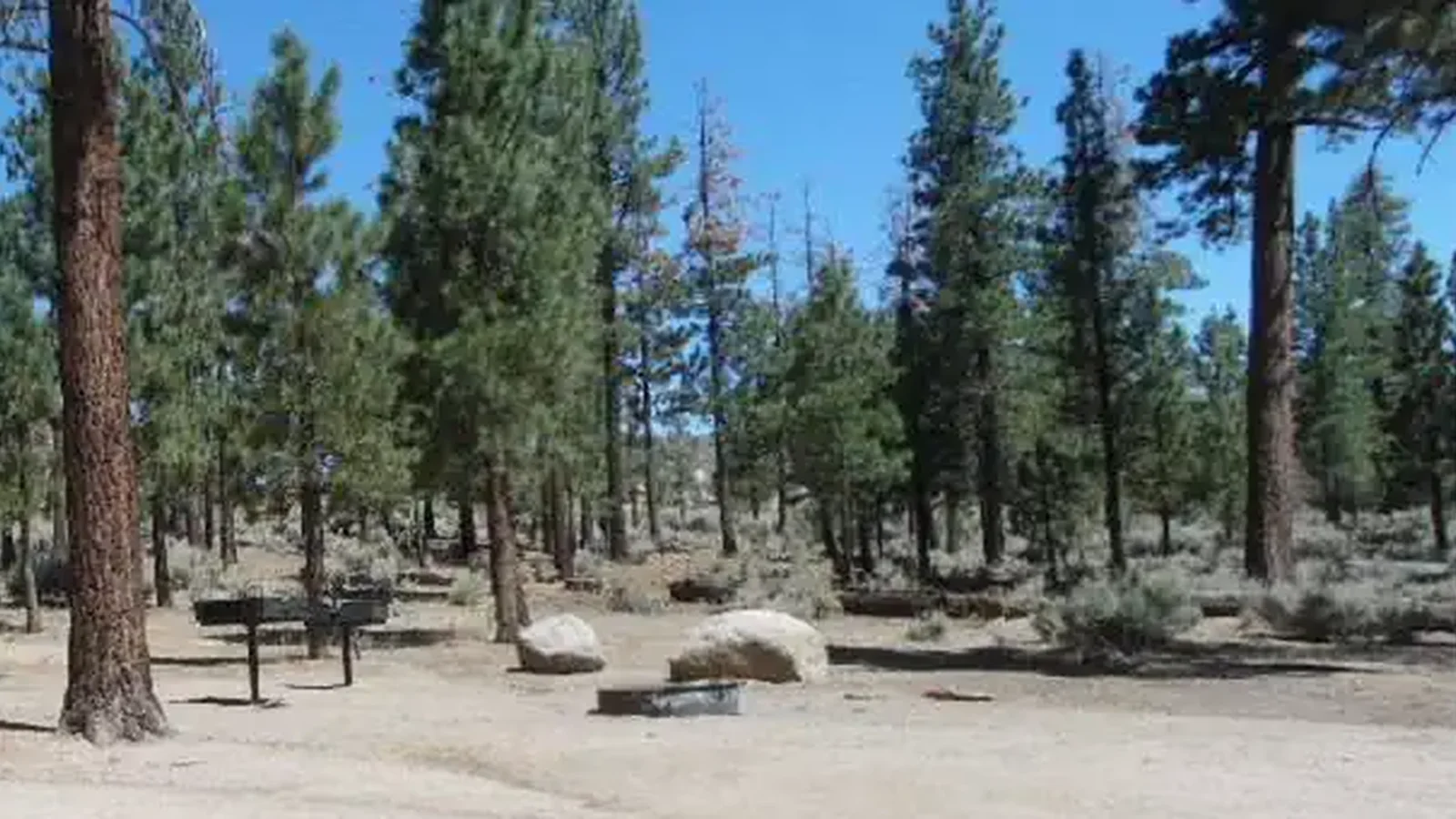 Picnic Table Area at Big Pine Equestrian Group Campground