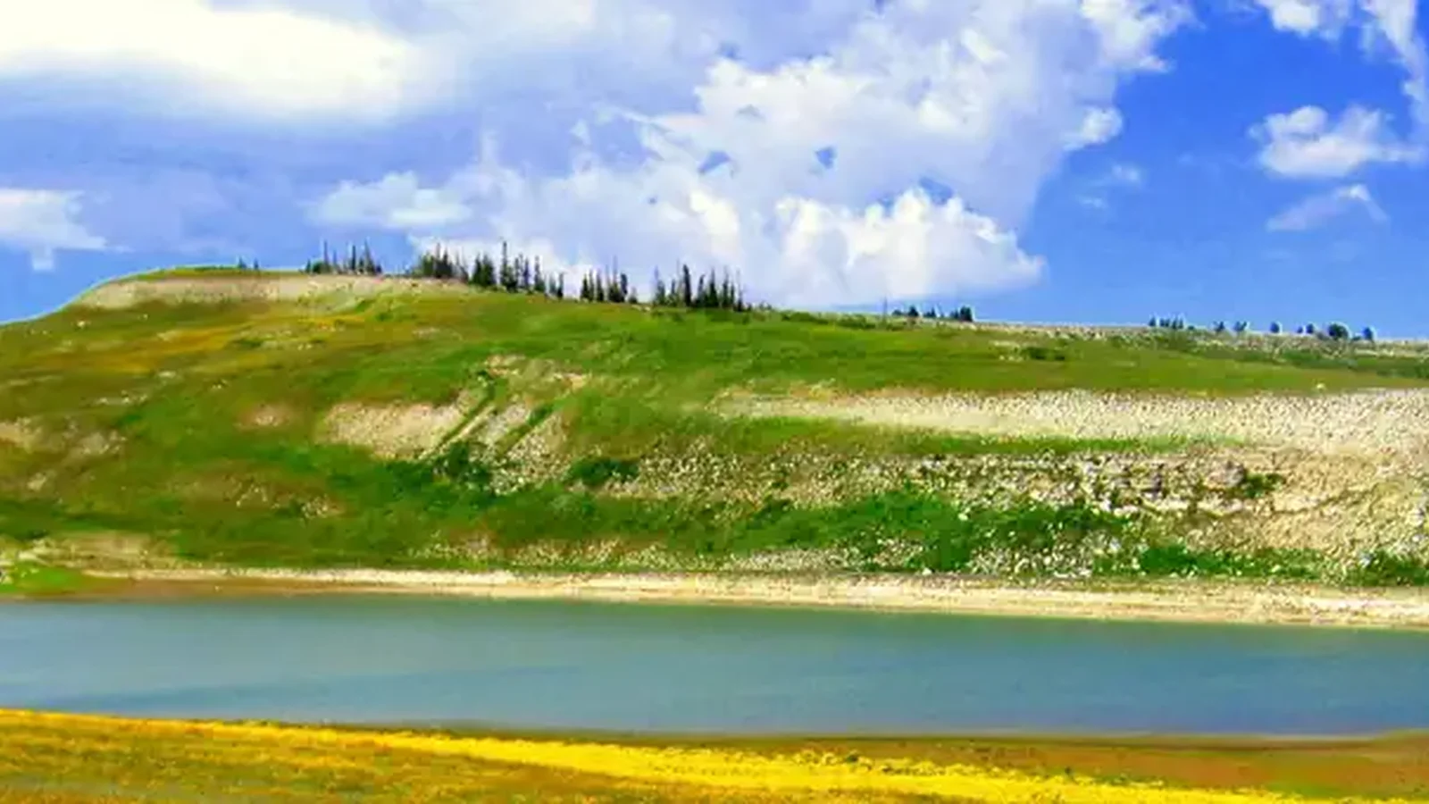 Manti-La Sal National Forest