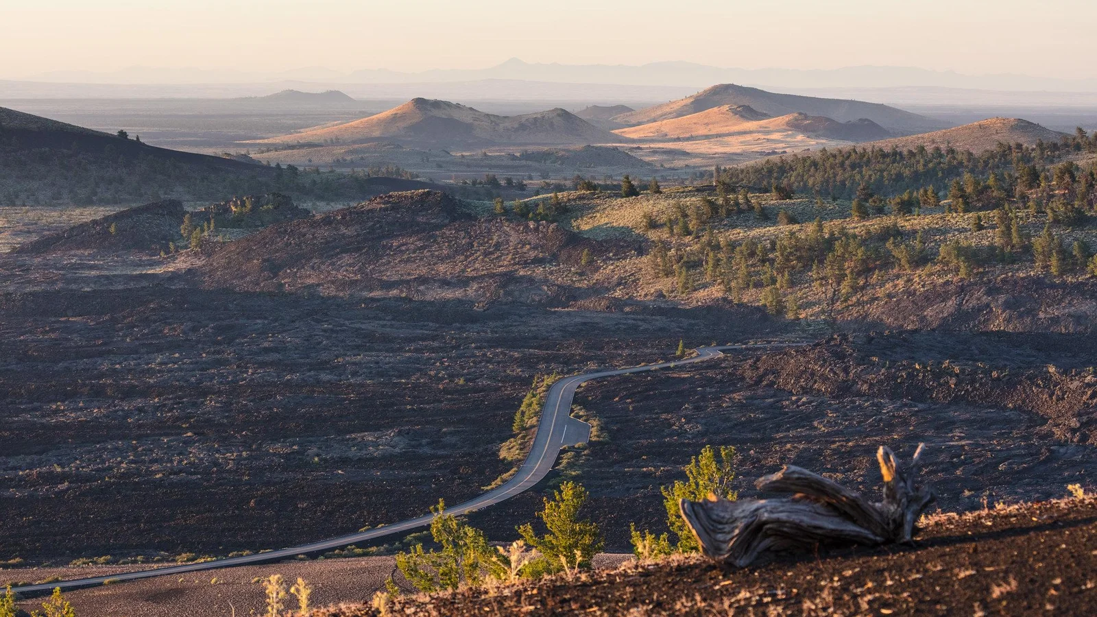 A Weird and Scenic Landscape
