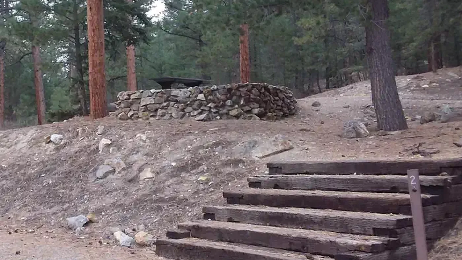 Site 2