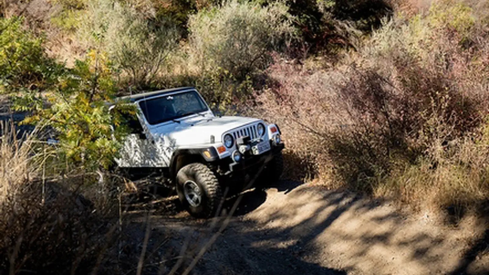 Jeep Adventures