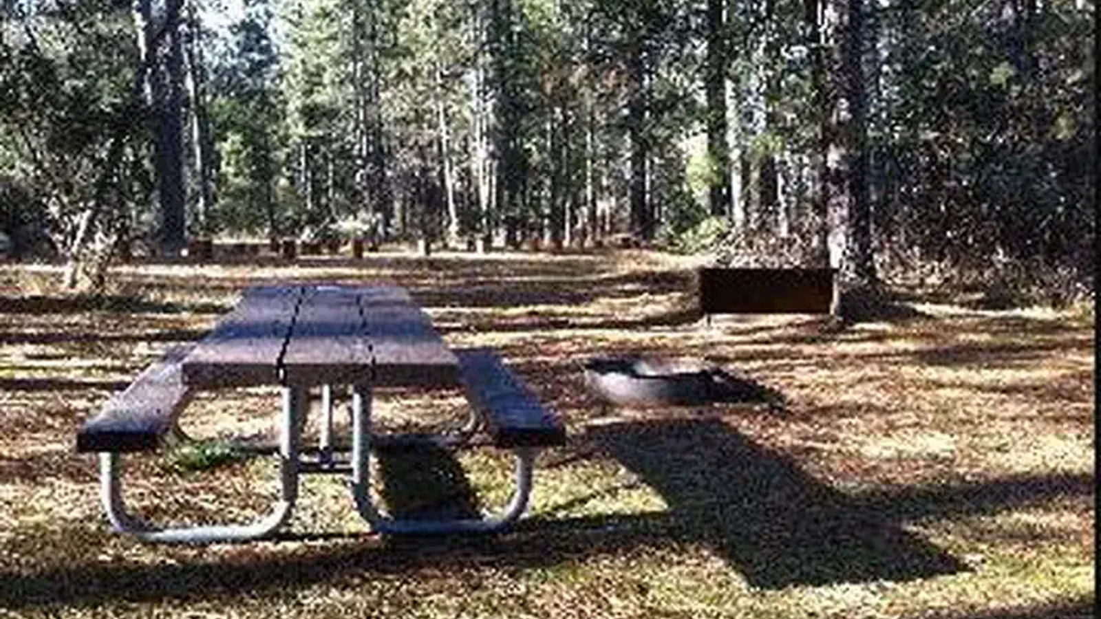 Picnic Table and surrounding area