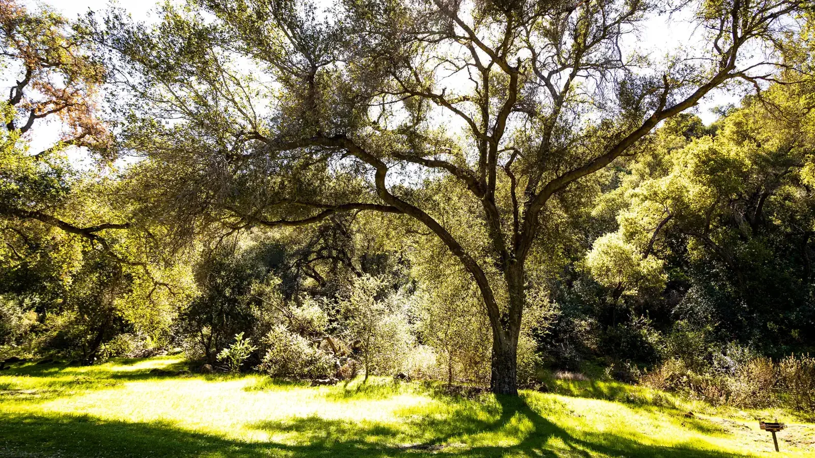 Fremont Campground