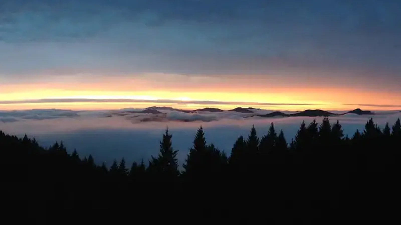 Rogue River - Siskiyou National Forests