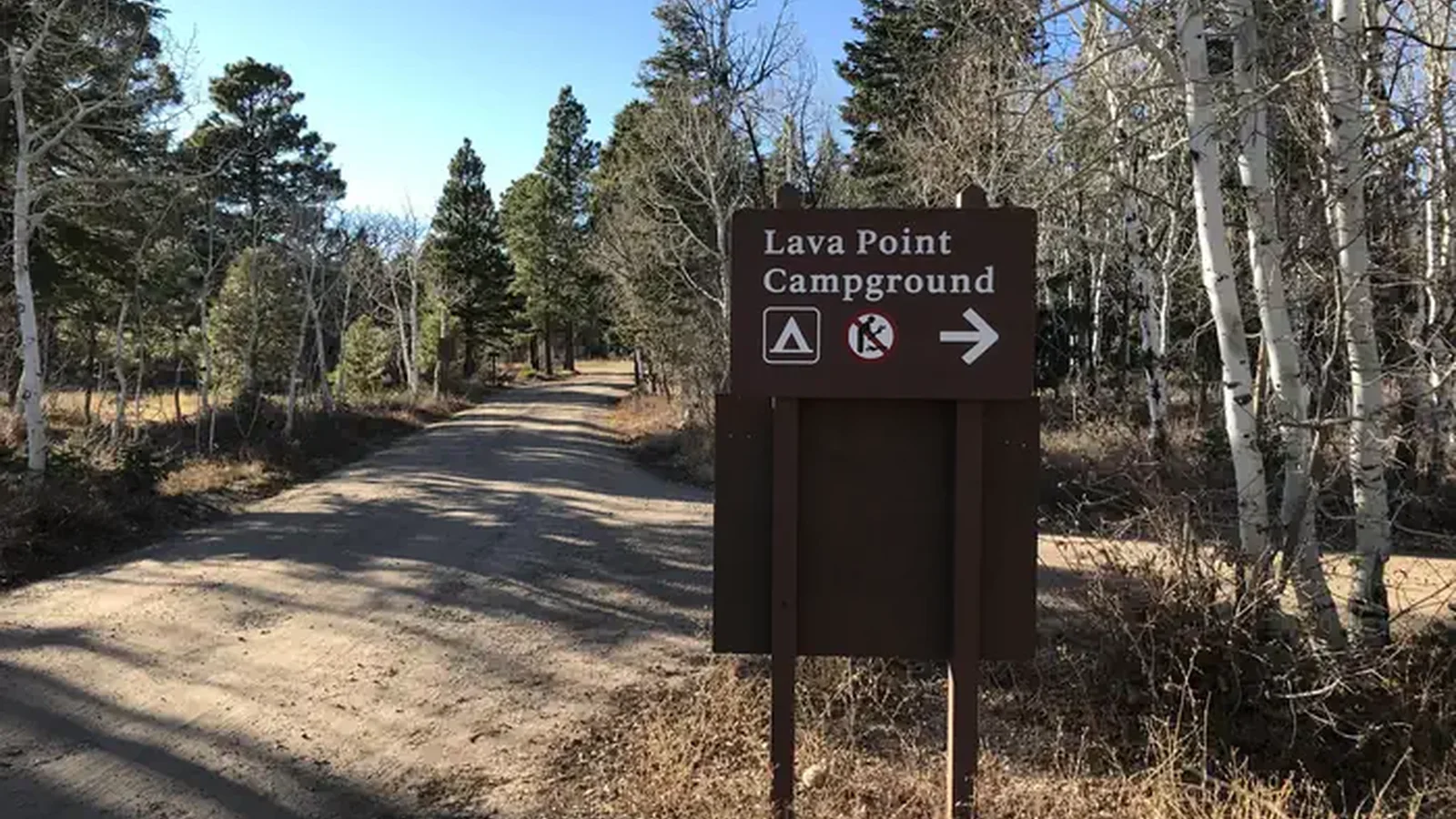 Sign alongside forested dirt road directs campers to the campground entrance.