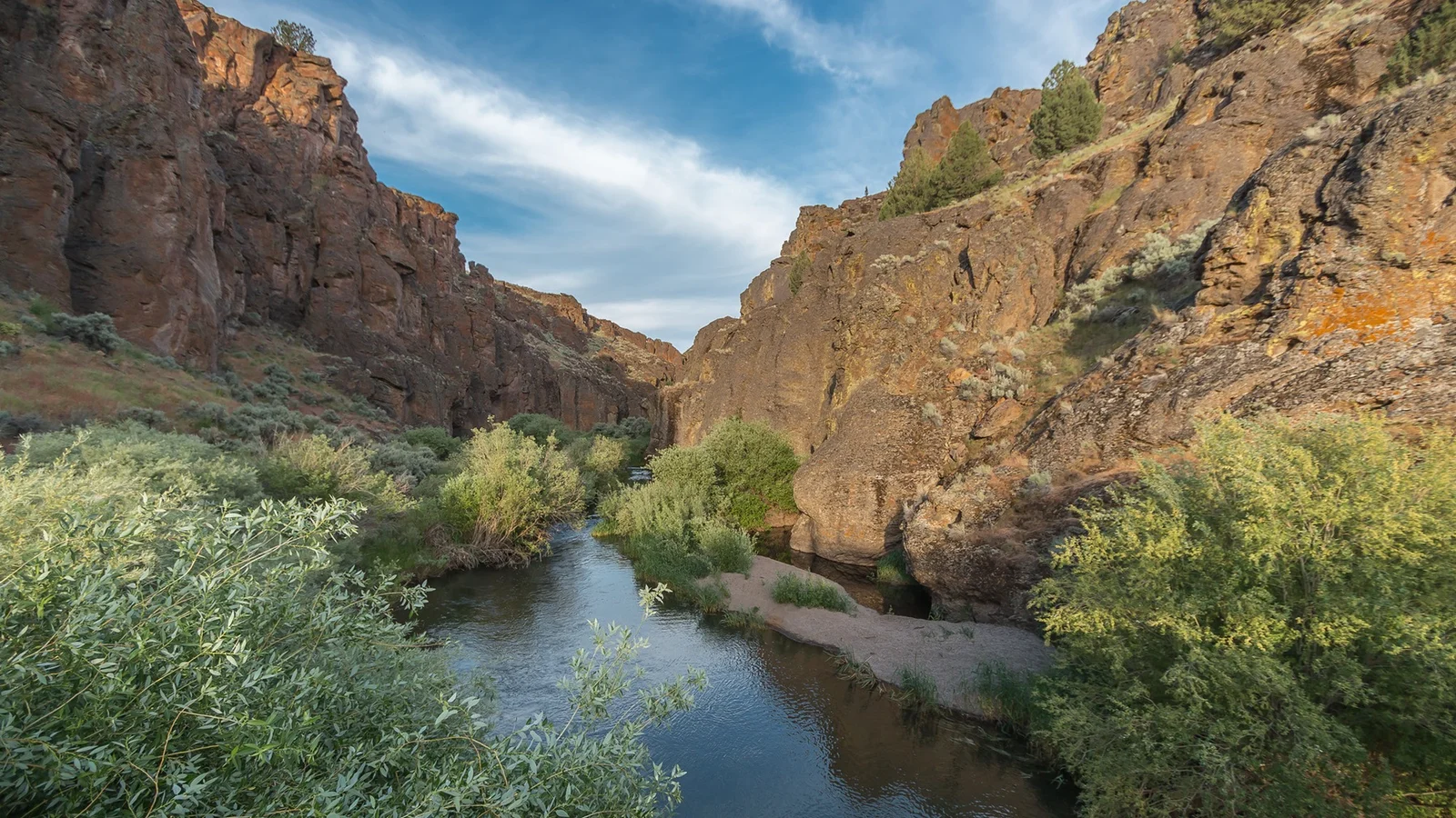 North Fork Owyhee Wild and Scenic River near Three Forks
