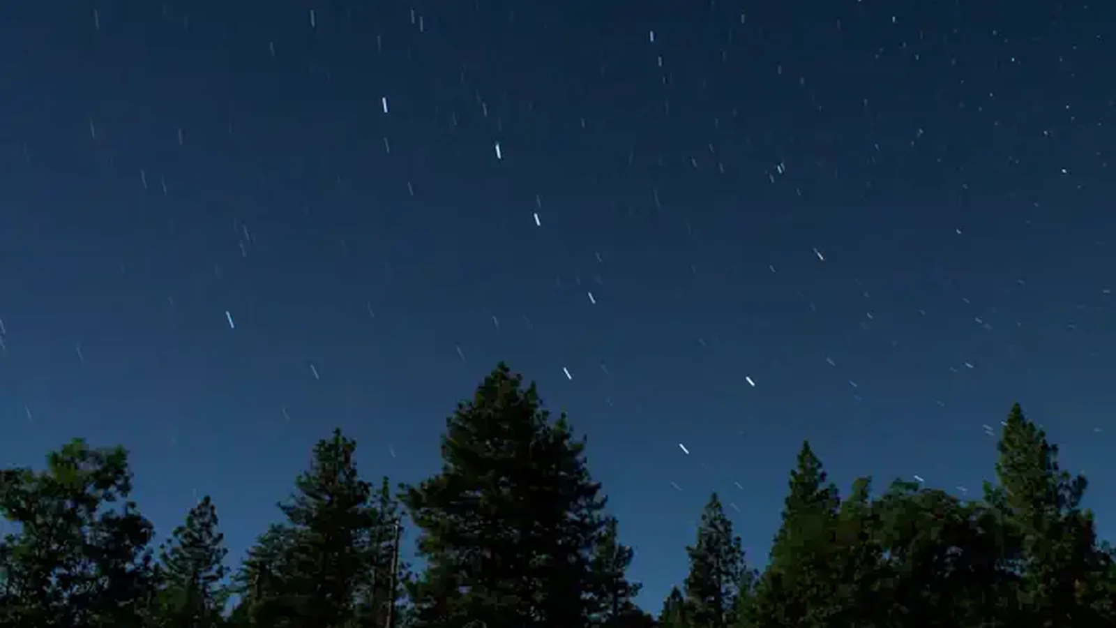 Mendocino National Forest