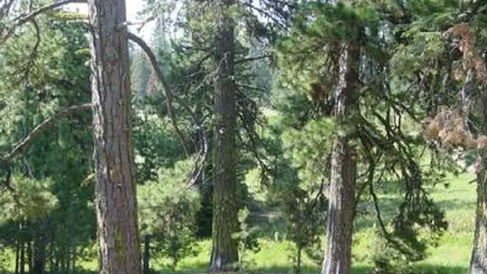 MASTERSON GROUP CAMPGROUND