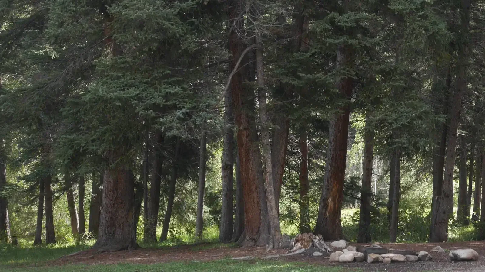 Santa Barbara Campground