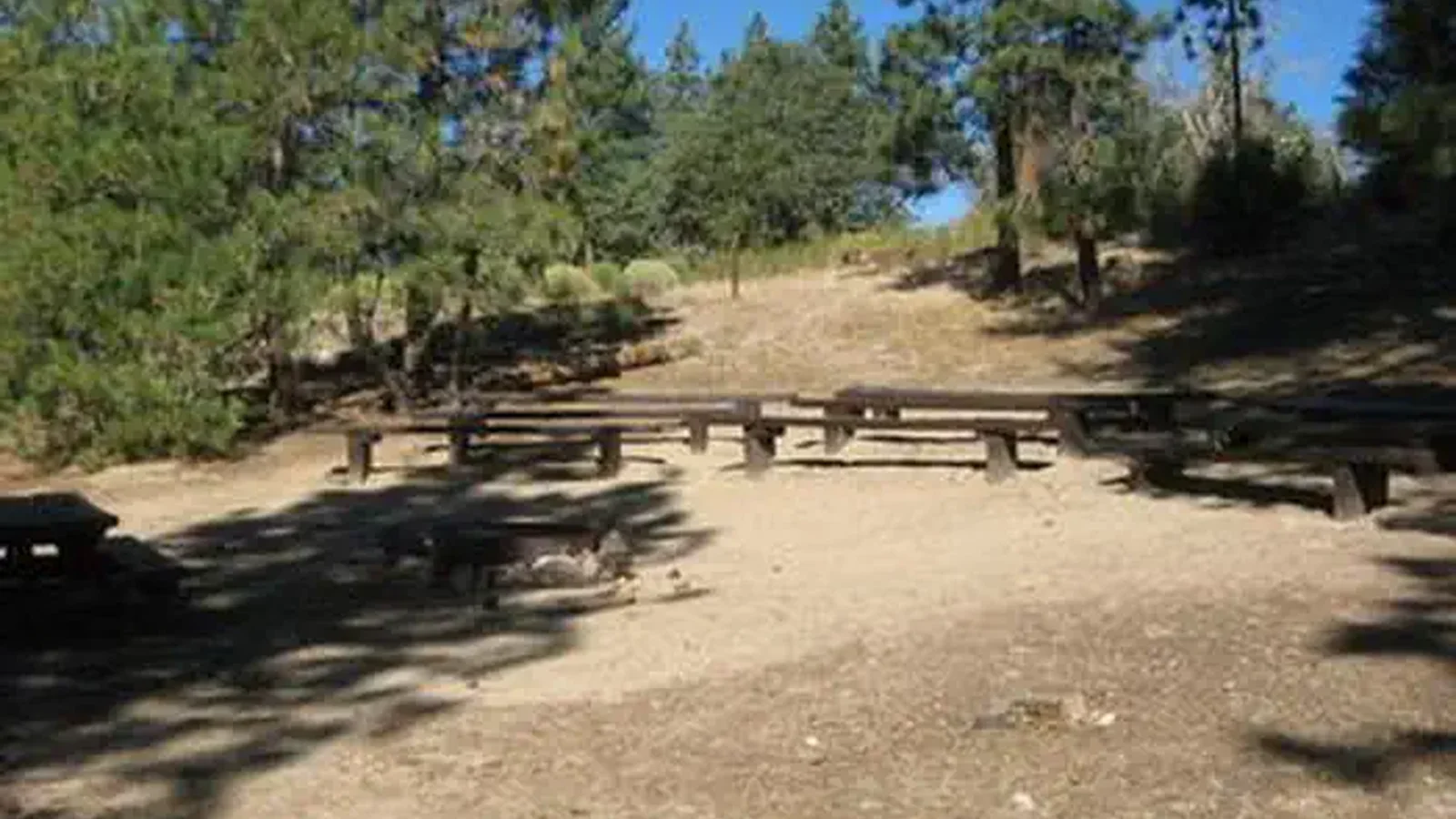 Lobo Group Campground Picnic Tables