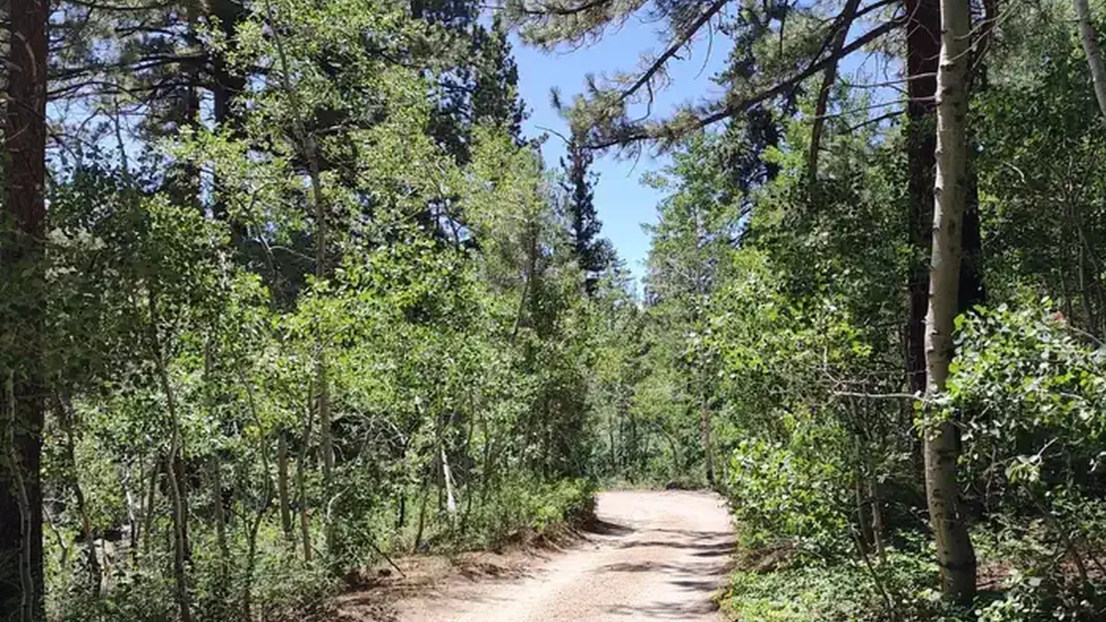 A photo of facility Leavitt Meadows with No Amenities Shown