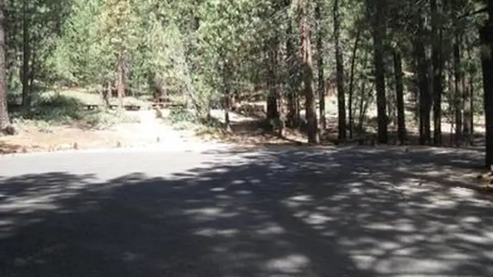 MCGILL CAMPGROUND AND GROUP CAMPGROUND