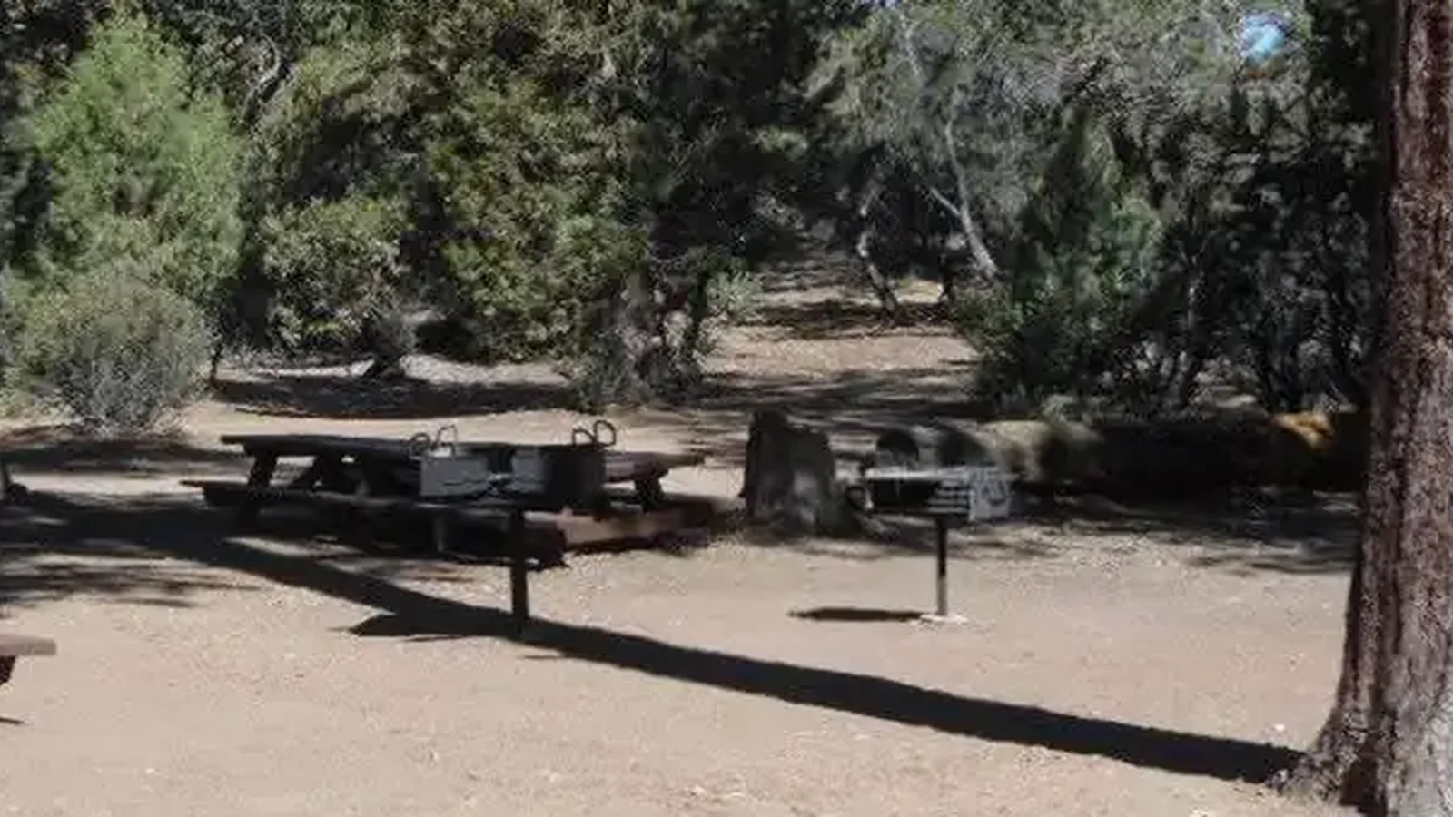 Picnic Tables and Group Fire Circle at Tanglewood Group Camp Sign
