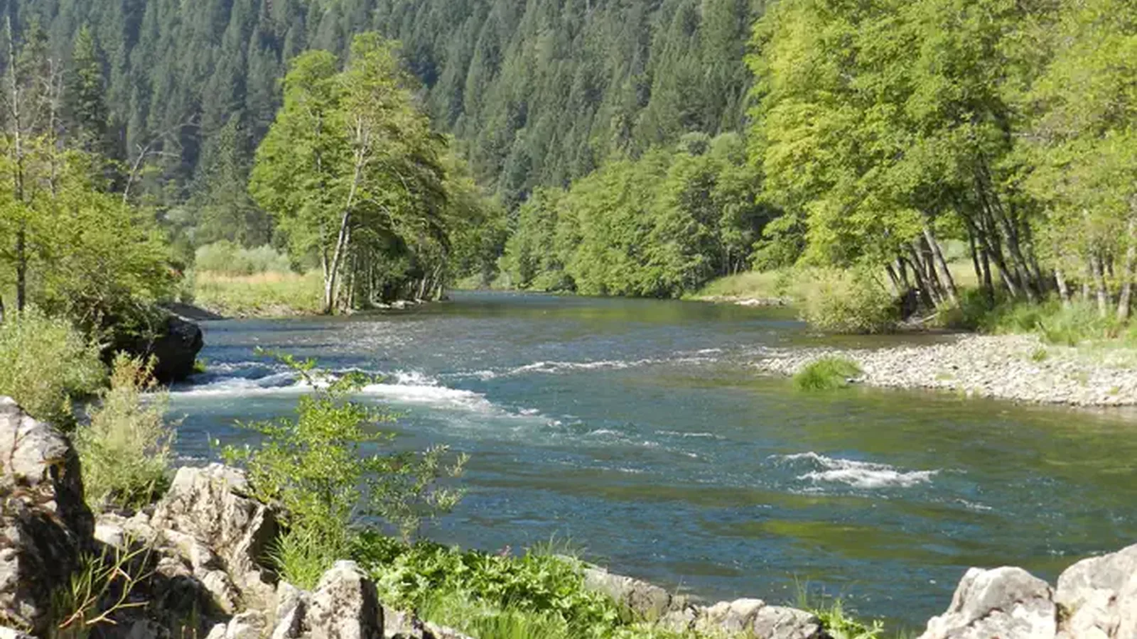A shot of the Trinity River with hillsides covered in green trees, rushing water, and grey rocks in the foreground