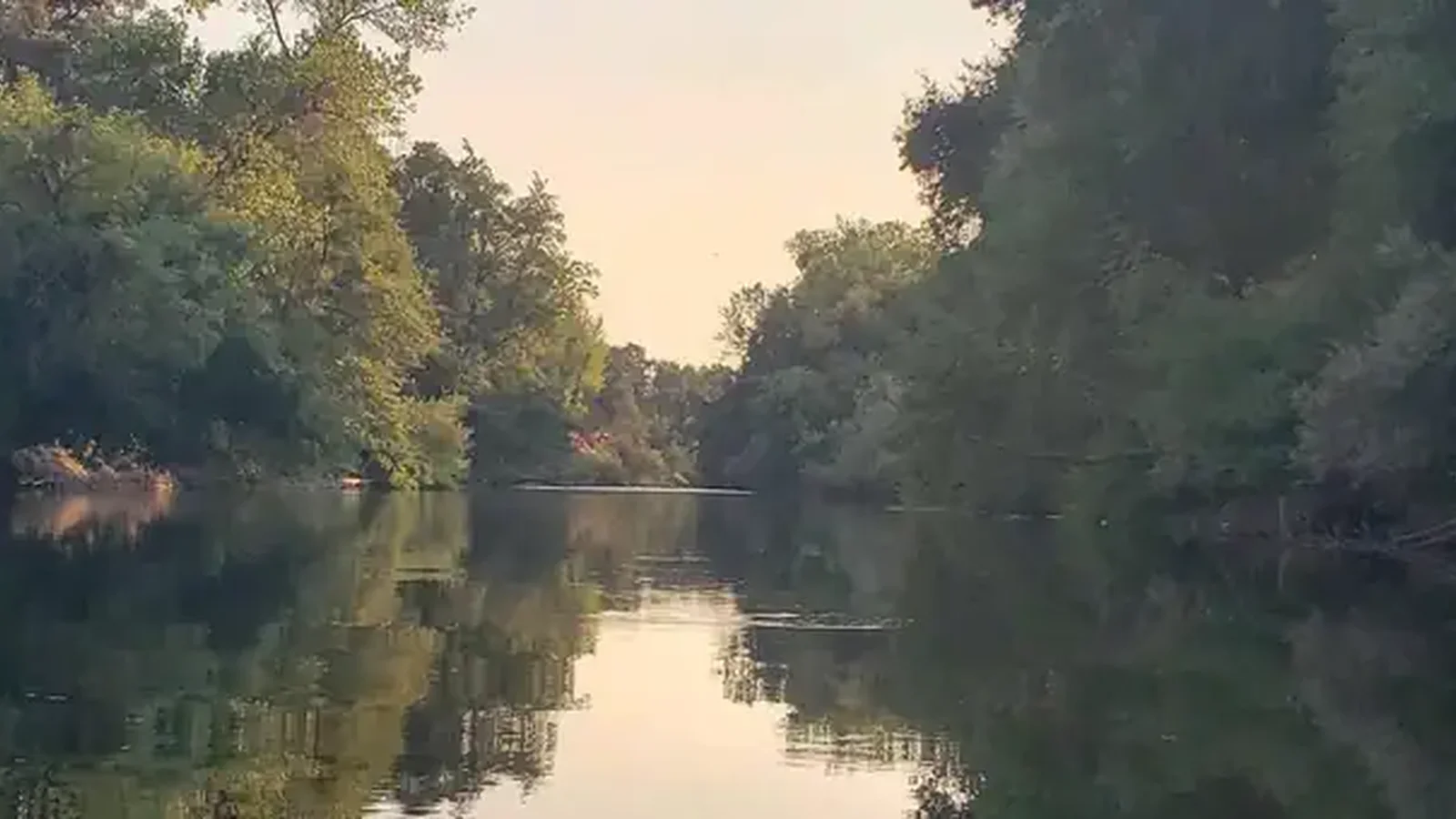 Stanislaus River at Horseshoe Road
