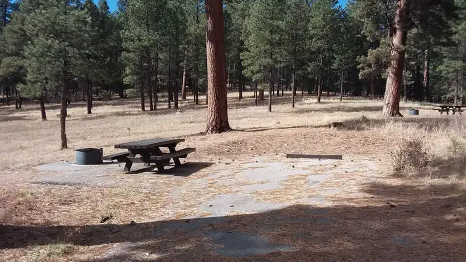 Rio de las Vacas Campground Site 10